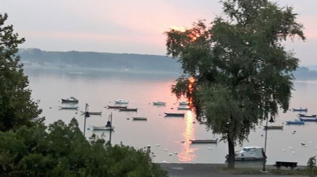 2016 6 Sonnenaufgang an der Donau bei Baka Palanka Serbien